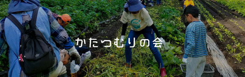 芋ほり体験