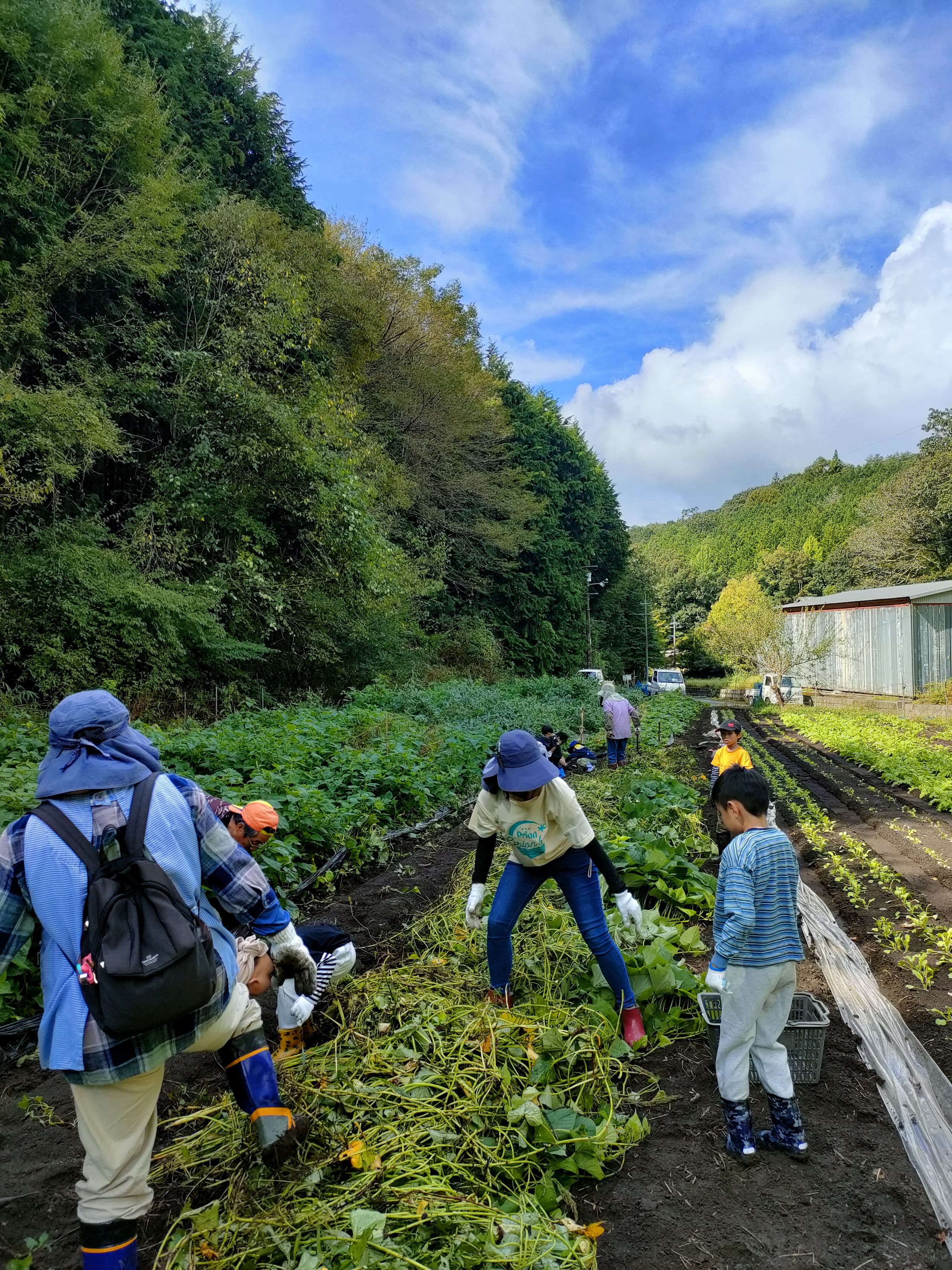 芋ほり体験交流